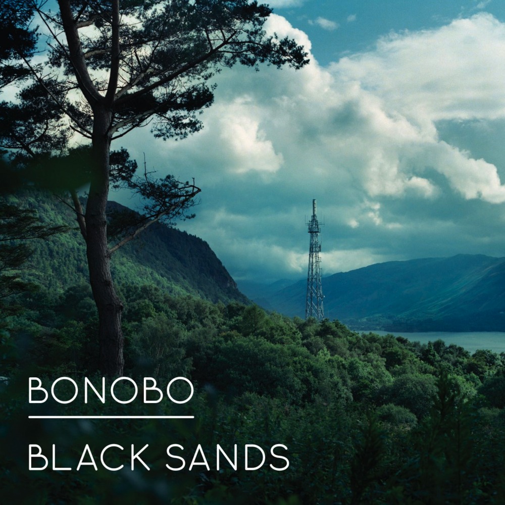 bonoboblacksands