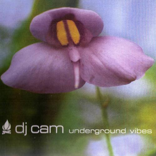 Underground+Vibes