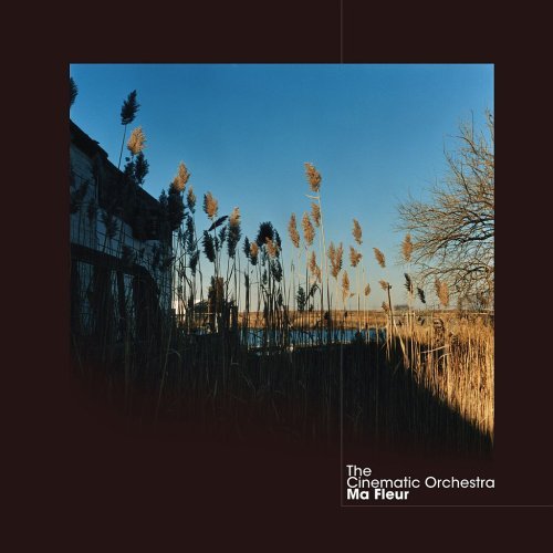 the-cinematic-orchestra