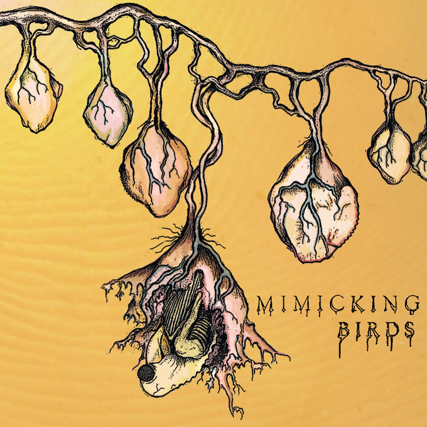 mimickingbirds