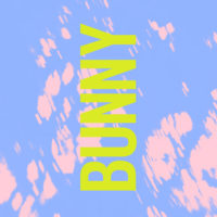 tourist_bunny-cover