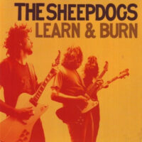 sheepdogs