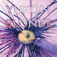 yukon blonde
